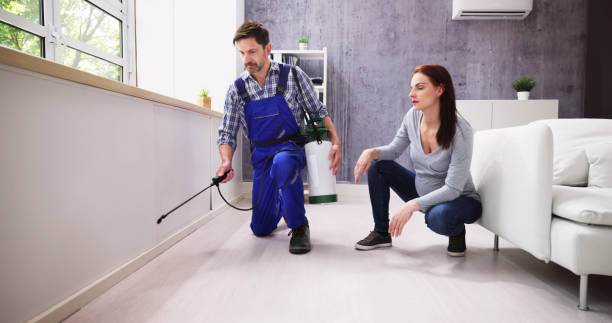 Best Commercial Pest Control  in Clemmons, NC